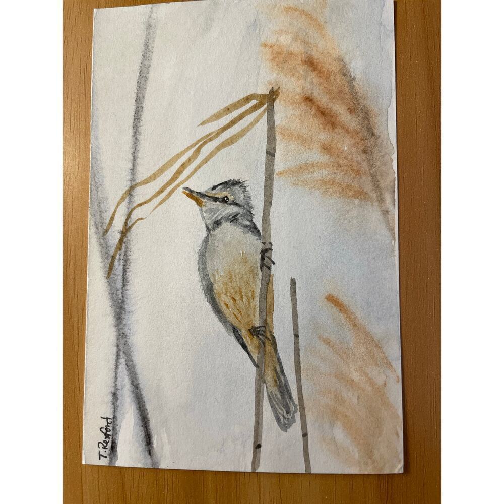 Hand painted watercolor original painting bird 4x6”